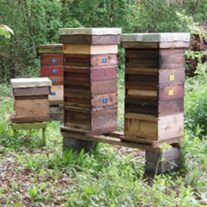 cook lambleg lgrid a