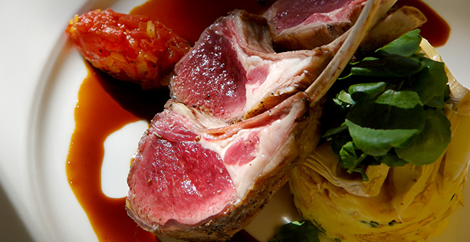 Mainpage Short Header